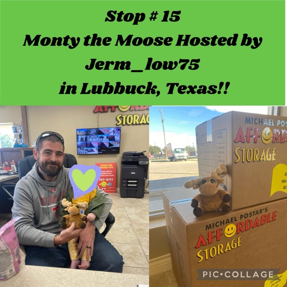 MONTY MOOSE TRACKING! Where in the Posh Universe is Monty Moose? - Picture 13 of 16